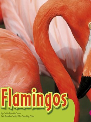cover image of Flamingos